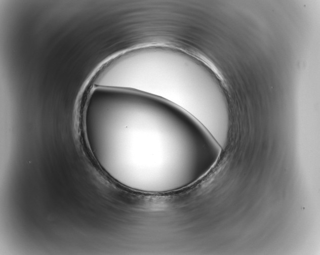 X0000099381116200805081153