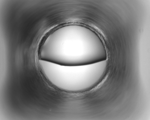X0000099381117200805081153