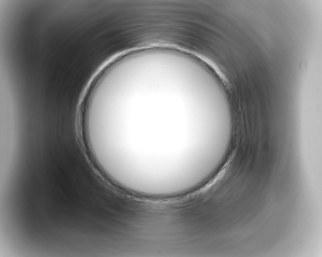 X0000099381118200805081153