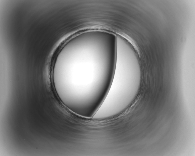 X0000099381120200805081153