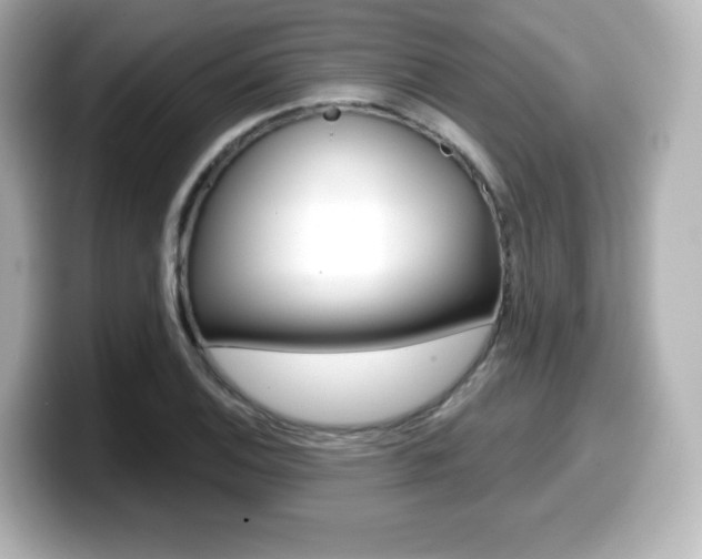 X0000099381124200805081153