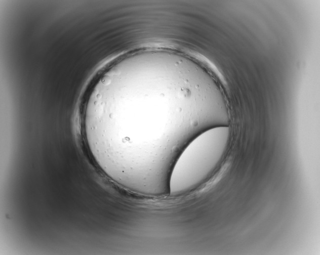 X0000099381125200805081153