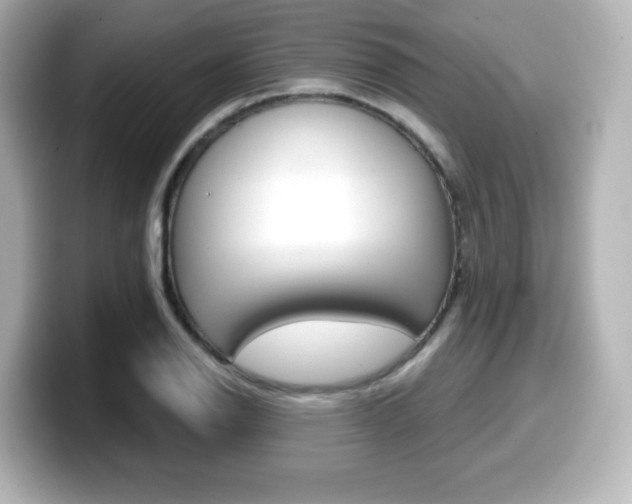 X0000099381126200805081153
