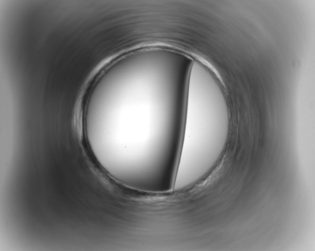 X0000099381127200805081153