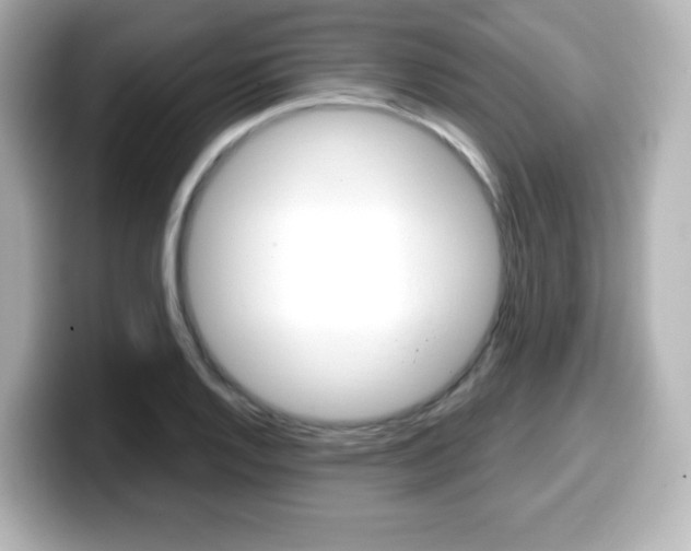 X0000099381128200805081153