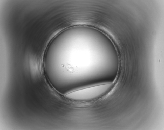 X0000099381129200805081153