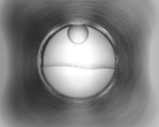 X0000099381130200805081154