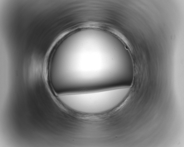 X0000099381131200805081154