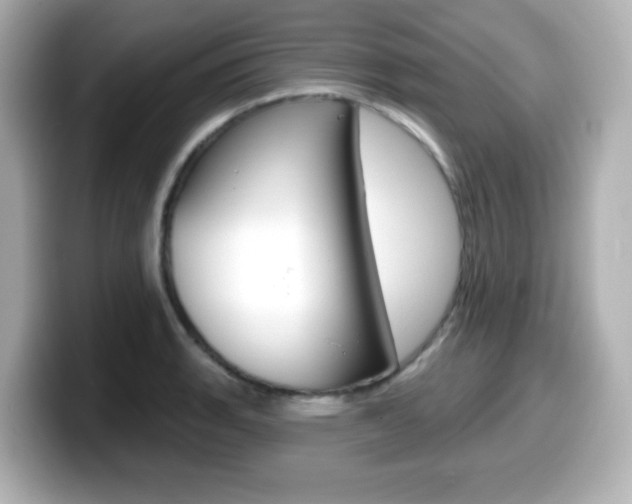 X0000099381135200805081154