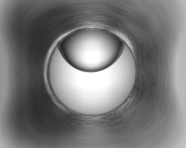 X0000099381136200805081154