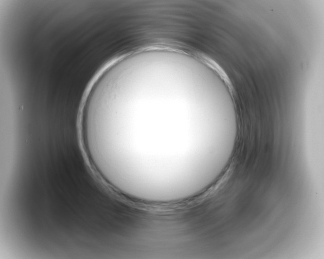 X0000099381138200805081154