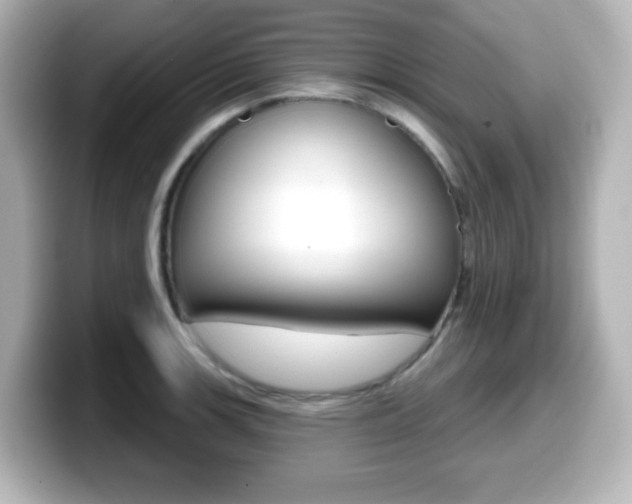 X0000099381139200805081154