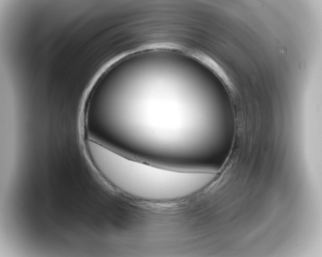 X0000099381140200805081154