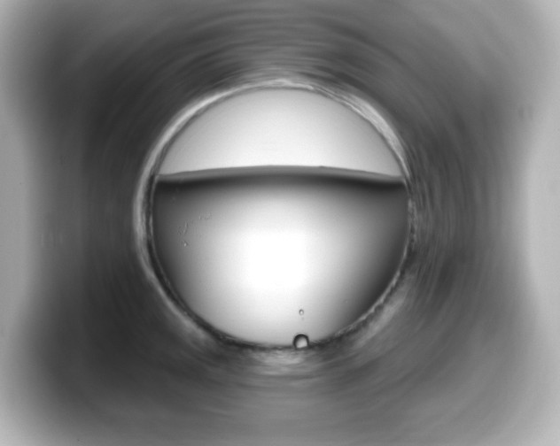 X0000099381141200805081154