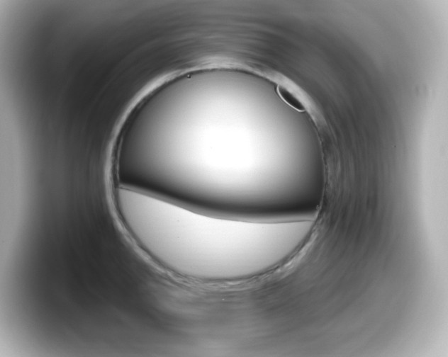 X0000099381142200805081154
