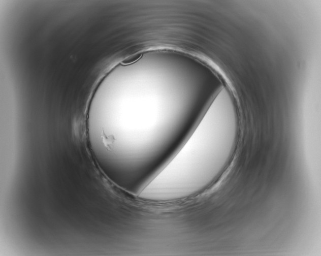X0000099381145200805081154