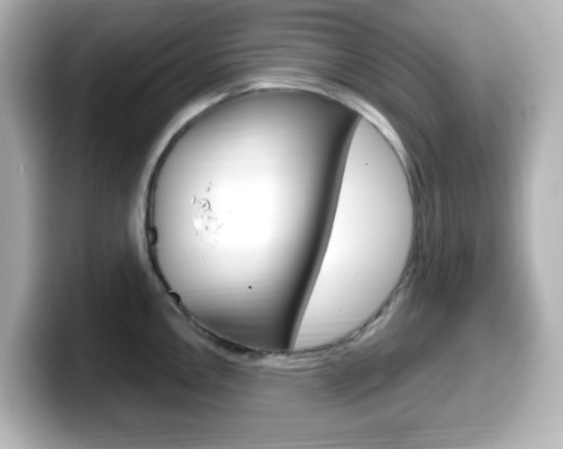 X0000099381146200805081154