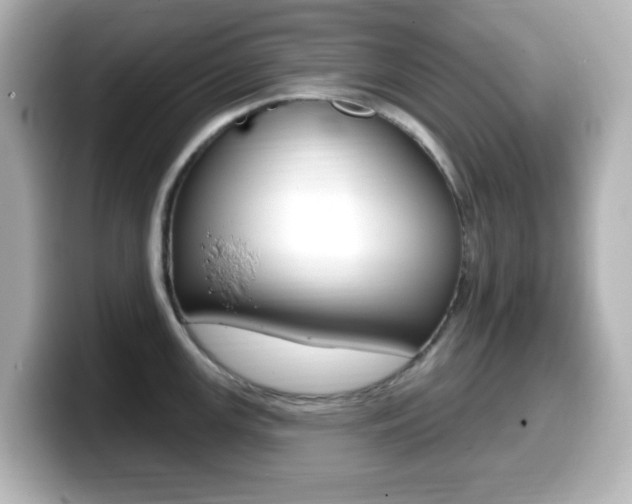 X0000099381147200805081154