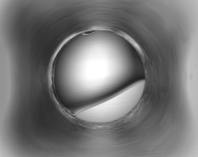 X0000099381148200805081154