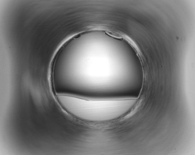 X0000099381149200805081154