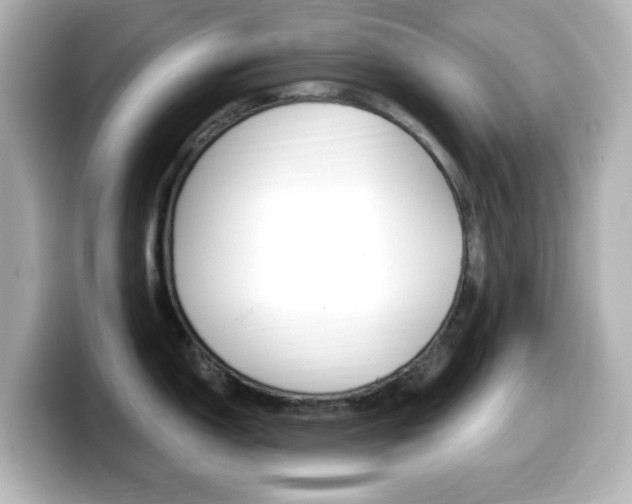 X0000099381150200805081154
