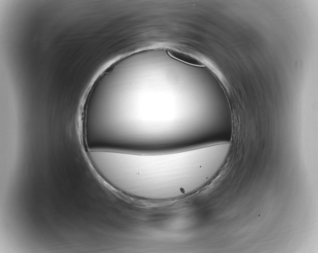 X0000099381151200805081154
