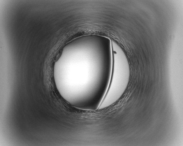 X0000099381153200805081153