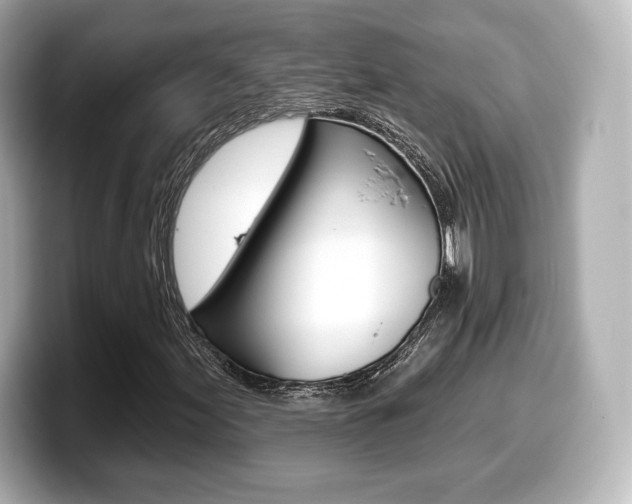 X0000099381155200805081153