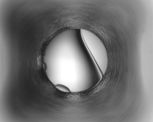 X0000099381156200805081153