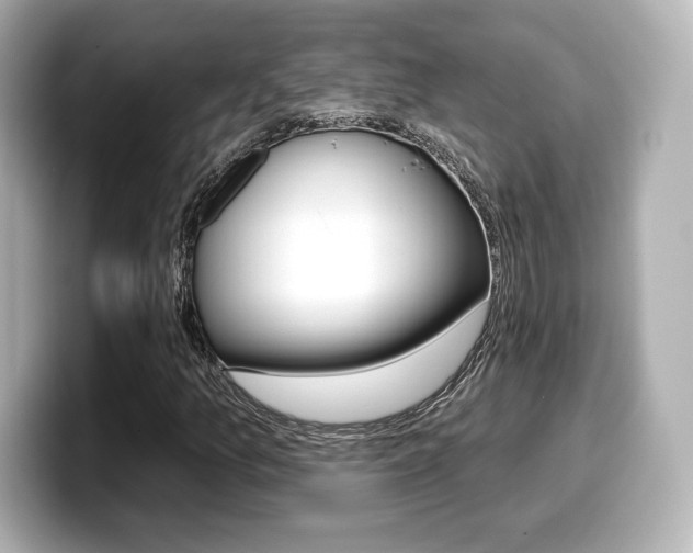 X0000099381157200805081153