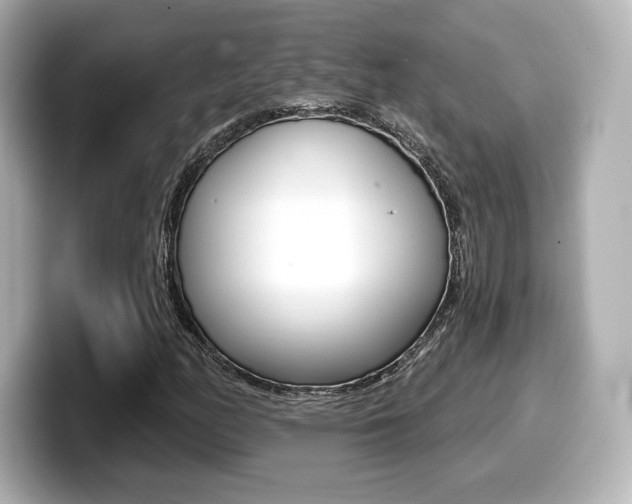 X0000099381158200805081153