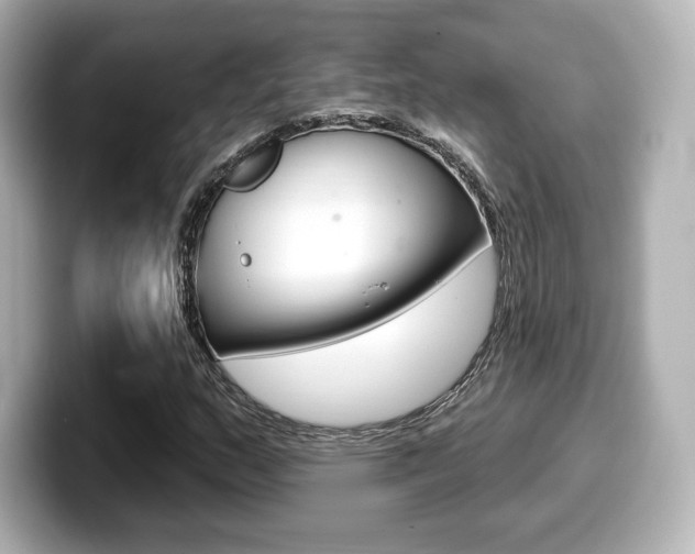 X0000099381159200805081153