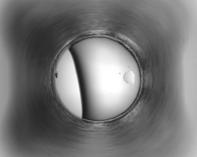 X0000099381162200805081153