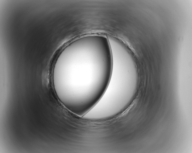 X0000099381165200805081153