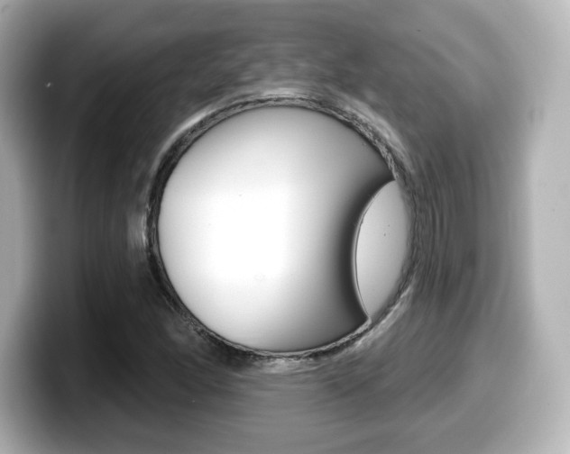 X0000099381166200805081153