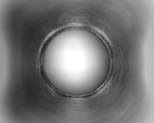 X0000099381168200805081153