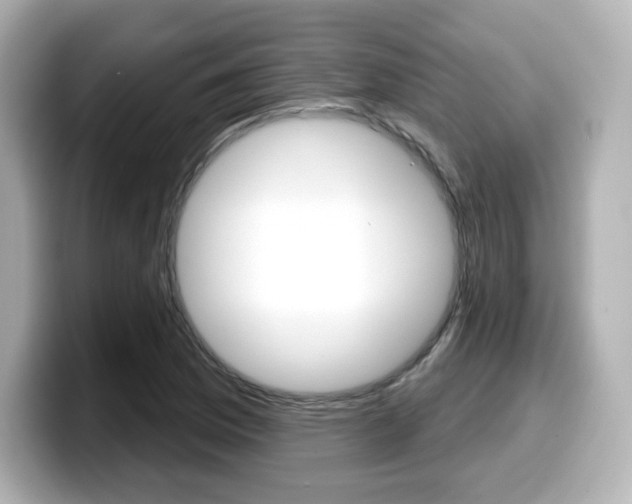 X0000099381169200805081153