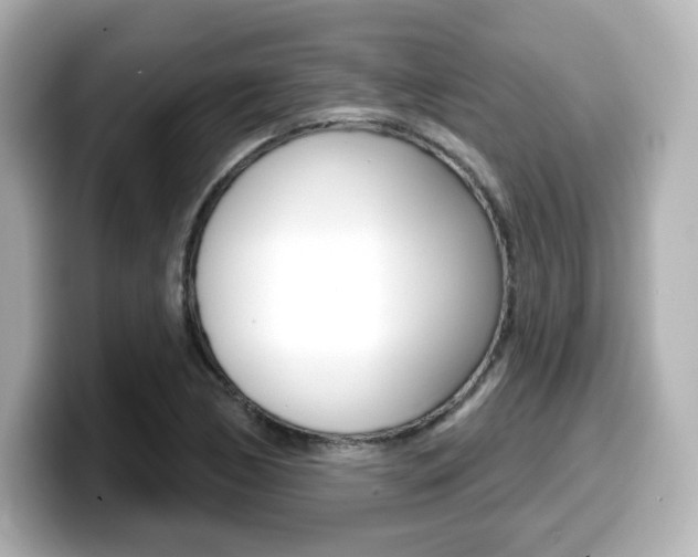 X0000099381170200805081153