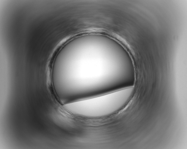 X0000099381171200805081153