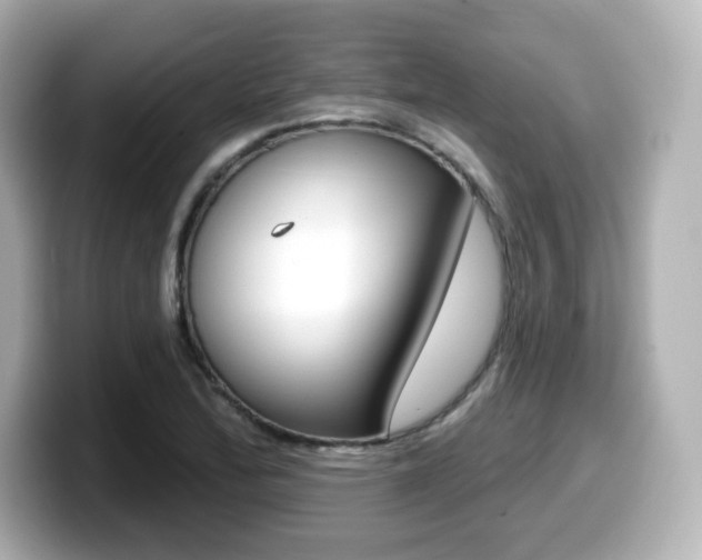 X0000099381172200805081153