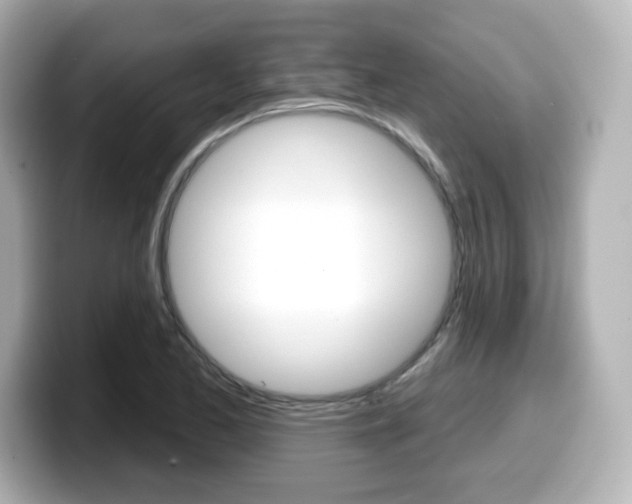 X0000099381173200805081153