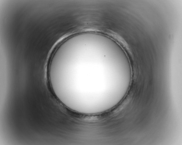 X0000099381174200805081153