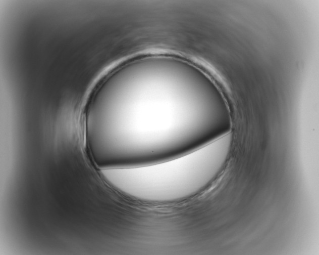 X0000099381175200805081153
