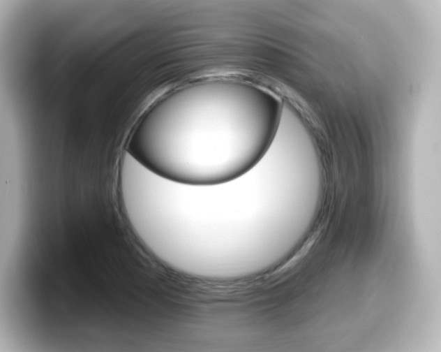 X0000099381177200805081153