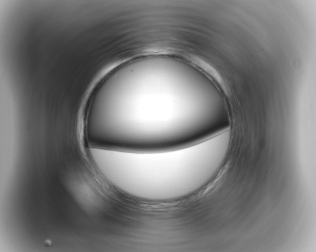 X0000099381179200805081153