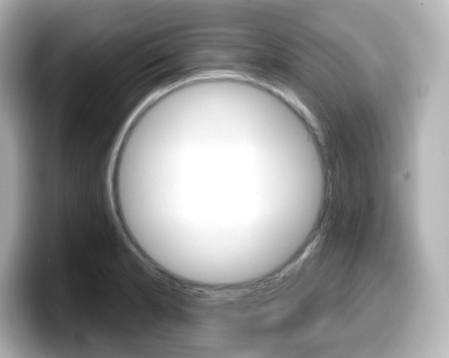 X0000099381181200805081153