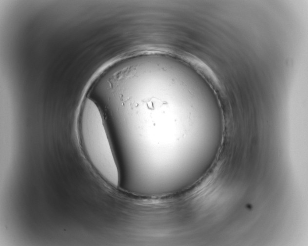 X0000099381182200805081153