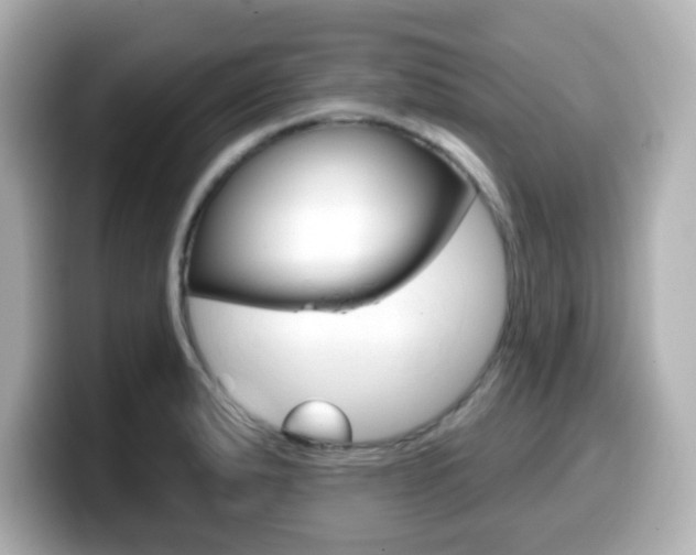 X0000099381183200805081153