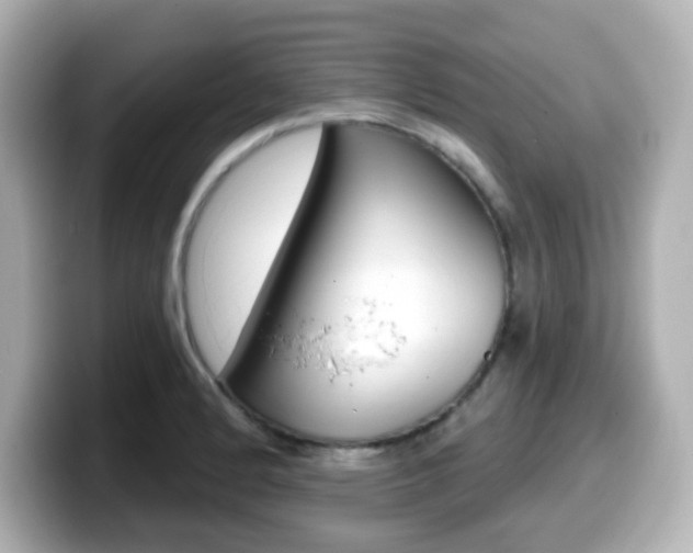X0000099381184200805081153