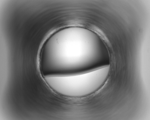 X0000099381188200805081153